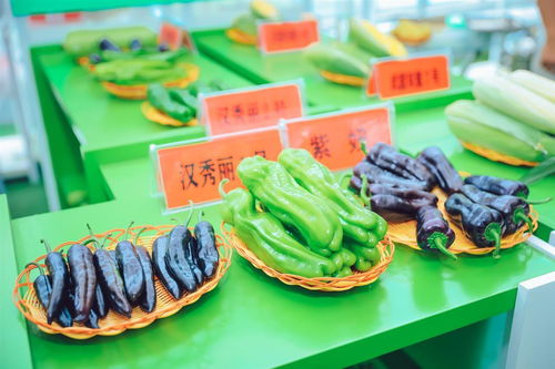 3000余種農作物亮相武漢種博會，端午假期邀市民共赴農業盛宴