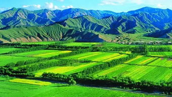 農(nóng)業(yè)種植效益提升之道 核心要素與科學(xué)實(shí)踐