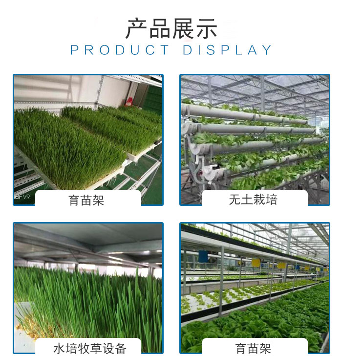 智能牧草種植設(shè)備 青泓農(nóng)業(yè)引領(lǐng)綠色養(yǎng)殖新時(shí)代